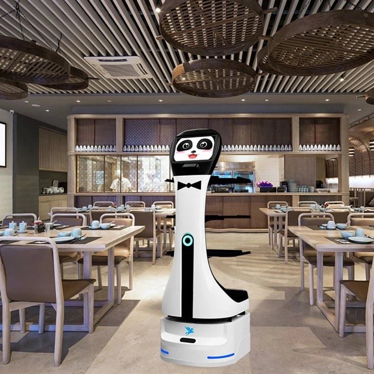 Autonomous Obstacle Avoidance